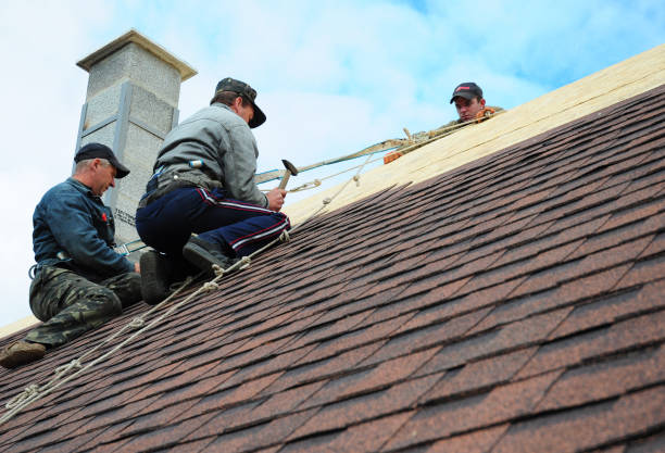 Roof Waterproofing Services in Delta, UT